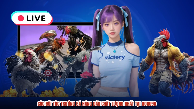 Các đối tác trường gà hàng đầu chất lượng nhất tại NOHU90