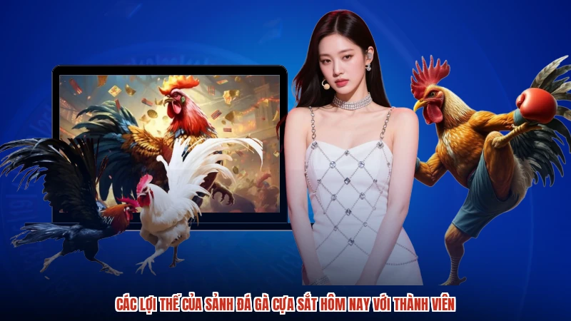 Các lợi thế của sảnh Đá gà cựa sắt hôm nay với thành viên
