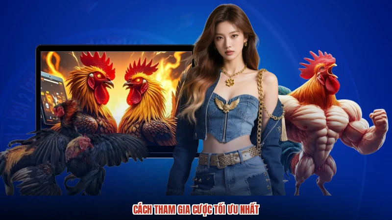 Cách tham gia cược tối ưu nhất