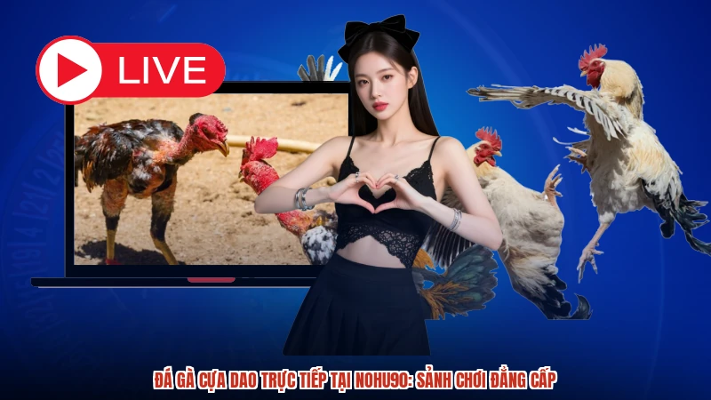 Đá gà cựa dao trực tiếp tại NOHU90: Sảnh chơi đẳng cấp