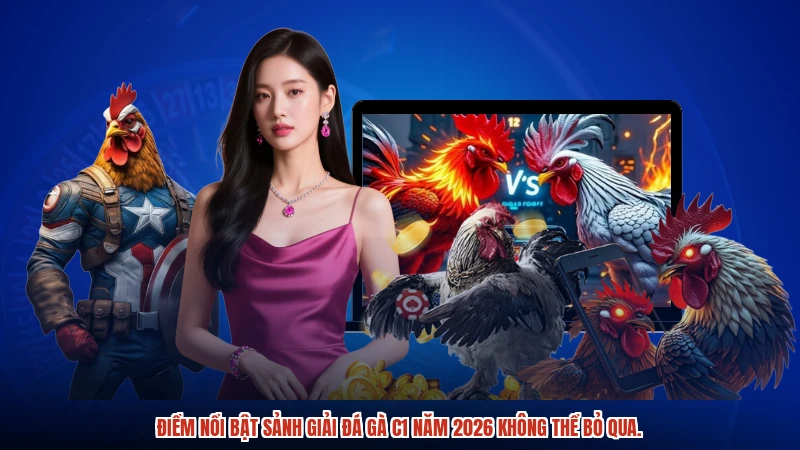 Điểm nổi bật sảnh Giải đá gà C1 năm 2026 không thể bỏ qua.