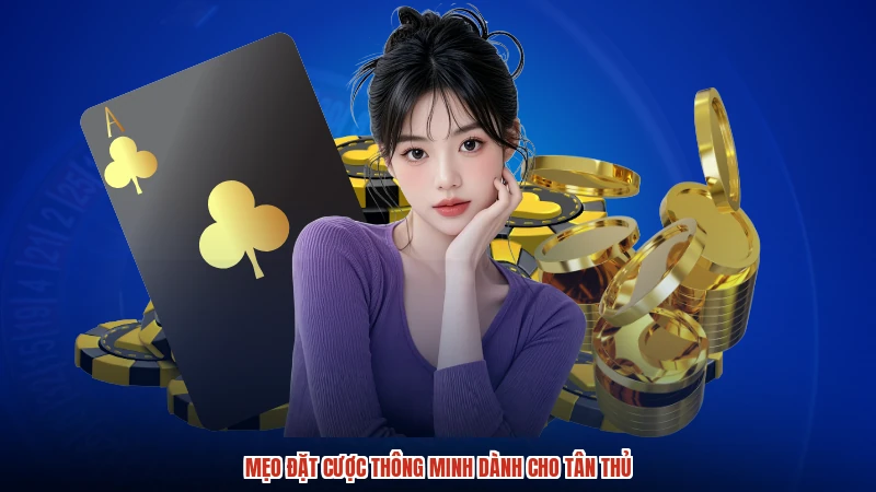 Mẹo đặt cược thông minh dành cho tân thủ