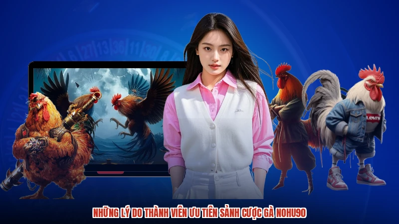 Những lý do thành viên ưu tiên sảnh cược gà NOHU90
