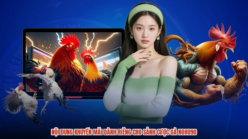 Nội dung khuyến mãi dành riêng cho sảnh cược gà NOHU90