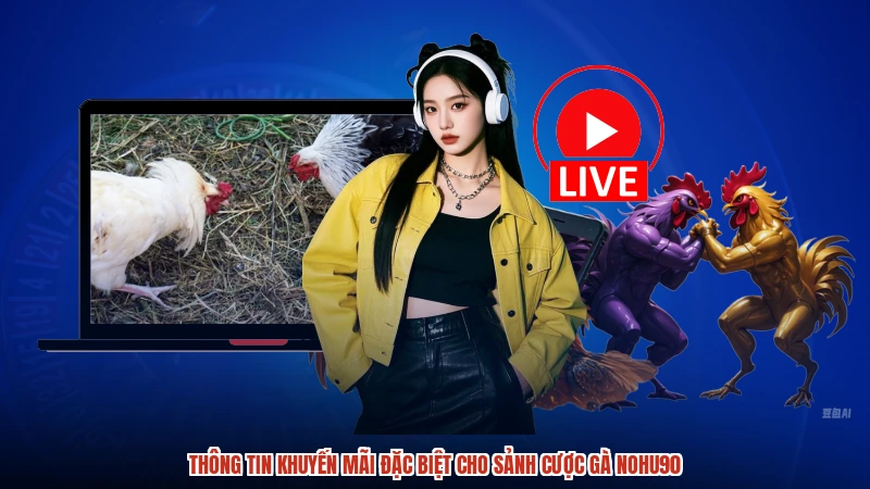 Thông tin khuyến mãi đặc biệt cho sảnh cược gà NOHU90
