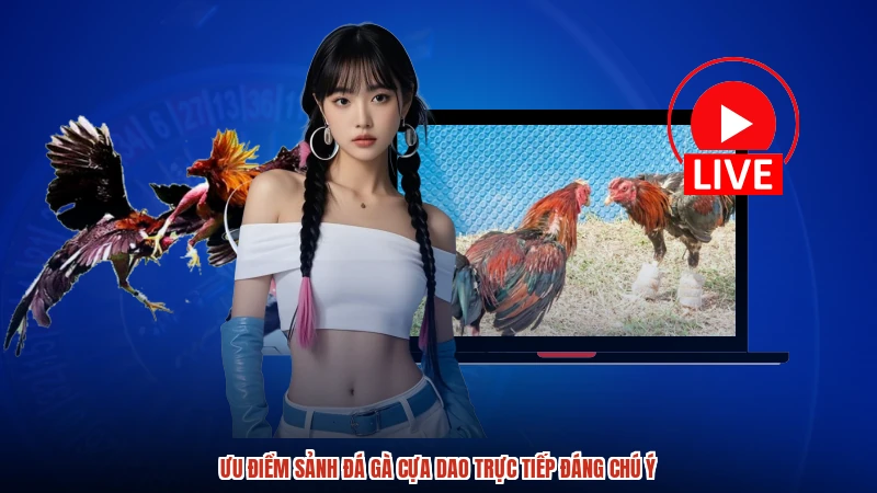 Ưu điểm sảnh Đá gà cựa dao trực tiếp đáng chú ý