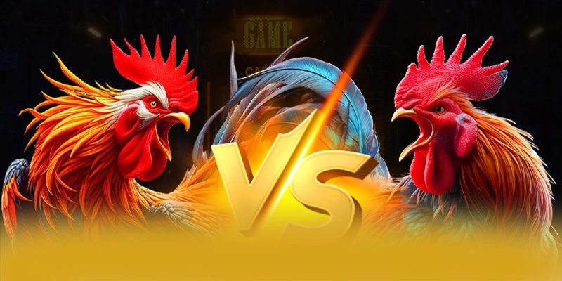 Hệ thống hỗ trợ người chơi tại 8XBET