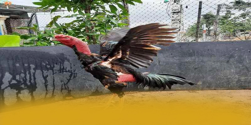 Quy trình giao dịch tiện lợi tại [THUONG_HIEU]