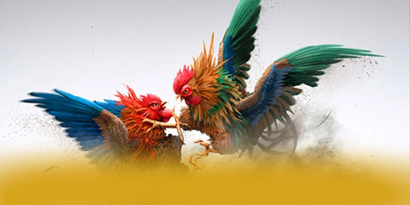 Phản hồi từ game thủ về SUNWIN Phản hồi từ game thủ về SUNWIN